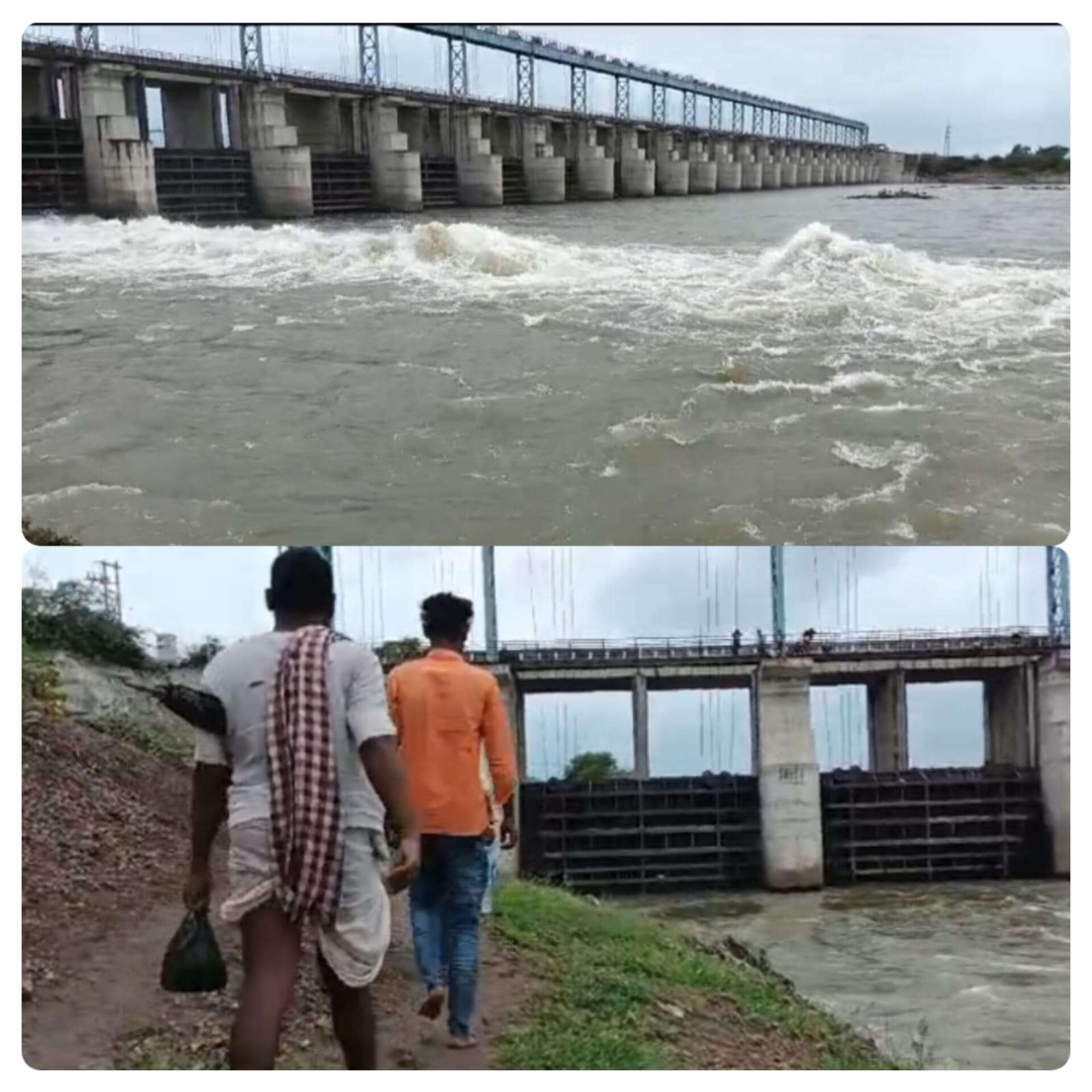 ಕೃಷ್ಣಾ ನದಿಯ ಪ್ರವಾಹಕ್ಕೆ ಯಾದಗಿರಿ ಜಿಲ್ಲೆಯಲ್ಲಿ ಗರ್ಭಿಣಿಯರ ಸ್ಥಳಾಂತರ: ಜಿಲ್ಲಾಡಳಿತದಿಂದ ತುರ್ತು ಕ್ರಮ